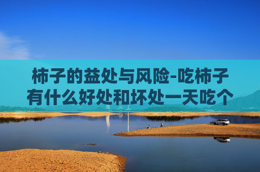 柿子的益处与风险-吃柿子有什么好处和坏处一天吃个