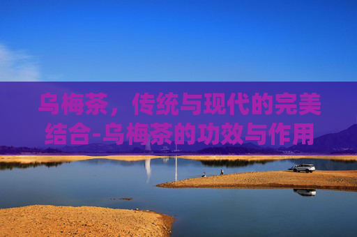 乌梅茶，传统与现代的完美结合-乌梅茶的功效与作用