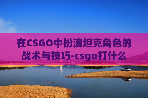 在CSGO中扮演坦克角色的战术与技巧-csgo打什么