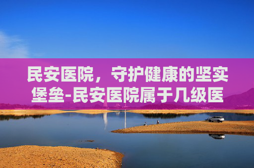 民安医院，守护健康的坚实堡垒-民安医院属于几级医院