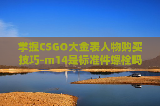 掌握CSGO大金表人物购买技巧-m14是标准件螺栓吗