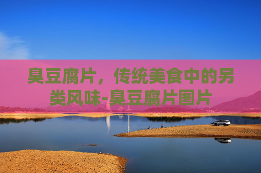 臭豆腐片，传统美食中的另类风味-臭豆腐片图片