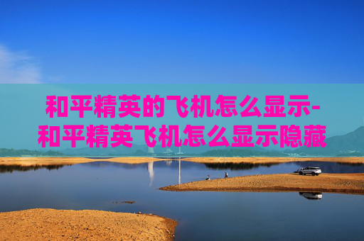 和平精英的飞机怎么显示-和平精英飞机怎么显示隐藏玩家