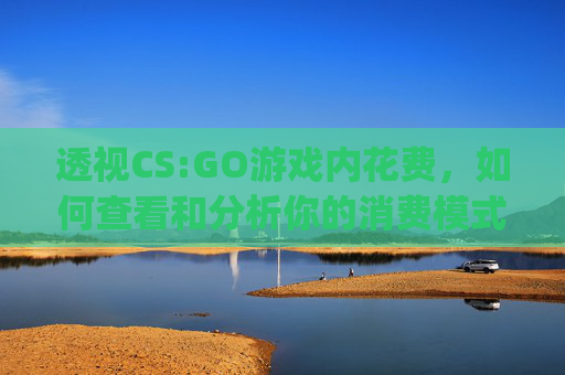 透视CS:GO游戏内花费，如何查看和分析你的消费模式-Csgo以前付费