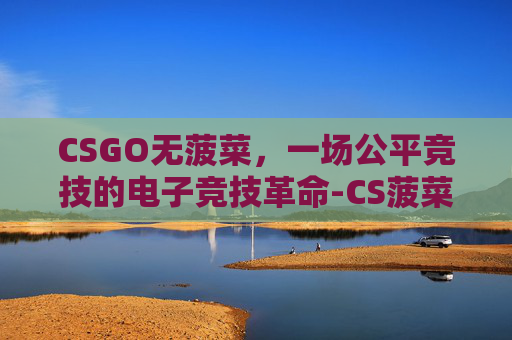 CSGO无菠菜，一场公平竞技的电子竞技革命-CS菠菜