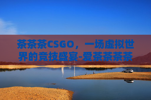 茶茶茶CSGO，一场虚拟世界的竞技盛宴-爱茶茶茶茶