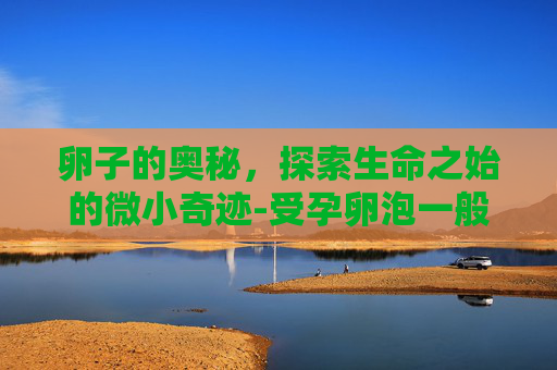 卵子的奥秘，探索生命之始的微小奇迹-受孕卵泡一般多大
