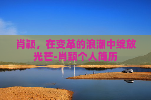 肖颖，在变革的浪潮中绽放光芒-肖颖个人简历