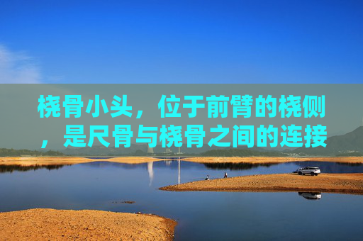 桡骨小头，位于前臂的桡侧，是尺骨与桡骨之间的连接点。它不仅是人体解剖学中的一个重要结构，也是运动功能和疾病发生的关键部位。本文将深入探讨桡骨小头的解剖结构、生理功能、常见疾病以及治疗方法。-桡骨小头半脱位