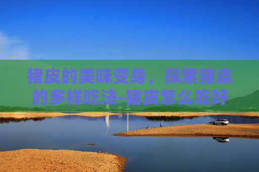 猪皮的美味变身，探索猪皮的多样吃法-猪皮怎么吃好吃