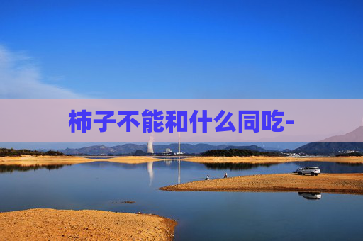 柿子不能和什么同吃-