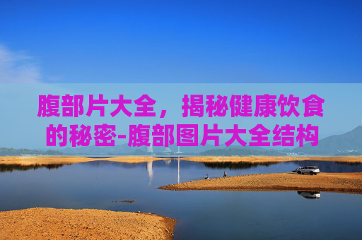 腹部片大全，揭秘健康饮食的秘密-腹部图片大全结构图