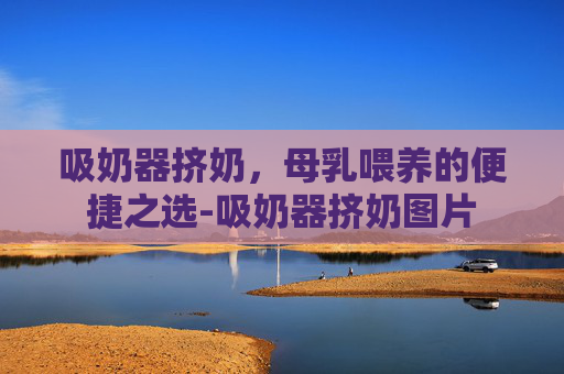 吸奶器挤奶，母乳喂养的便捷之选-吸奶器挤奶图片