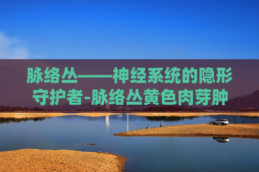 脉络丛——神经系统的隐形守护者-脉络丛黄色肉芽肿