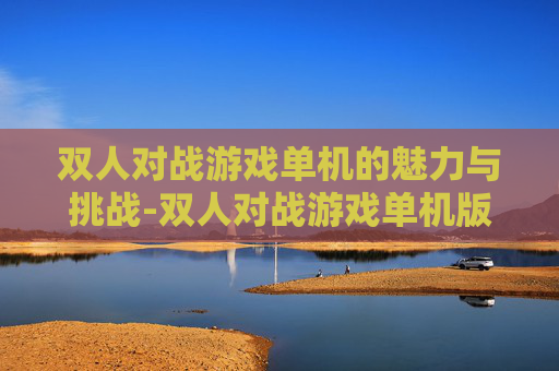 双人对战游戏单机的魅力与挑战-双人对战游戏单机版