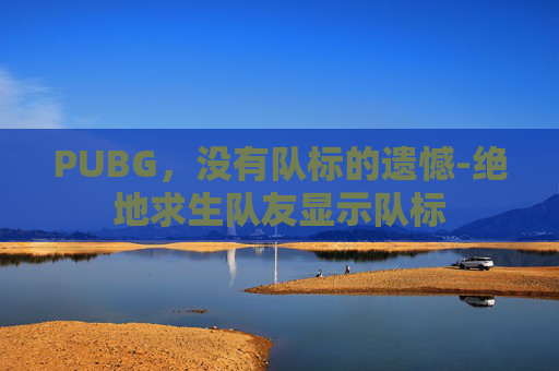 PUBG，没有队标的遗憾-绝地求生队友显示队标