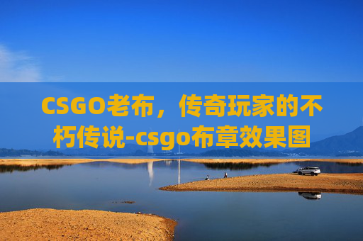 CSGO老布，传奇玩家的不朽传说-csgo布章效果图
