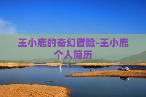 王小鹿的奇幻冒险-王小鹿个人简历