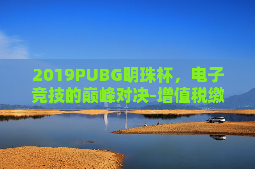 2019PUBG明珠杯，电子竞技的巅峰对决-增值税缴纳逾期