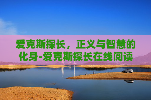 爱克斯探长，正义与智慧的化身-爱克斯探长在线阅读