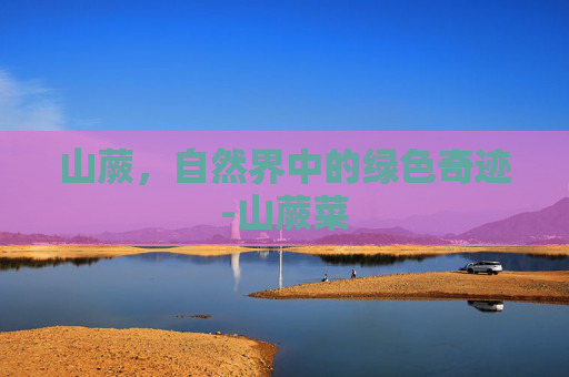 山蕨，自然界中的绿色奇迹-山蕨菜