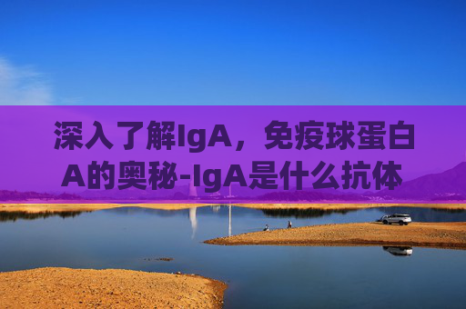 深入了解IgA，免疫球蛋白A的奥秘-IgA是什么抗体
