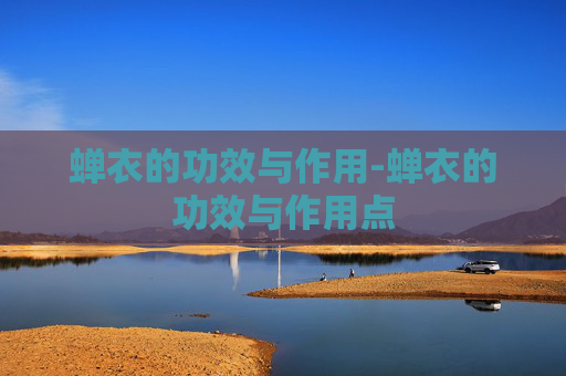 蝉衣的功效与作用-蝉衣的功效与作用点