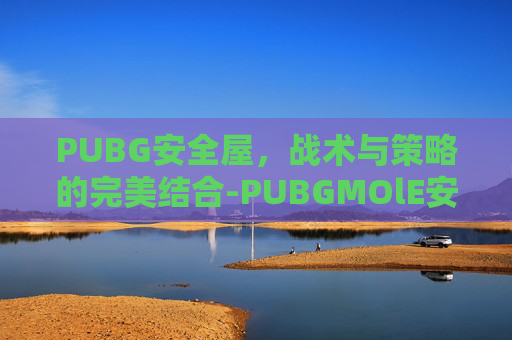 PUBG安全屋，战术与策略的完美结合-PUBGMOlE安全