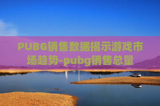 PUBG销售数据揭示游戏市场趋势-pubg销售总量