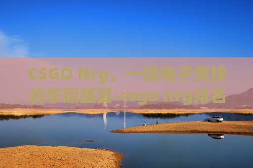CSGO Nrg，一场电子竞技的华丽盛宴-csgo nrg排名