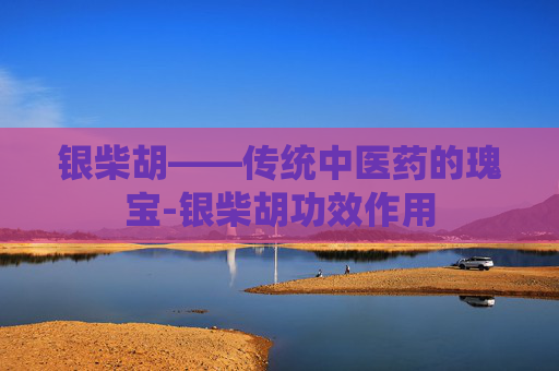 银柴胡——传统中医药的瑰宝-银柴胡功效作用