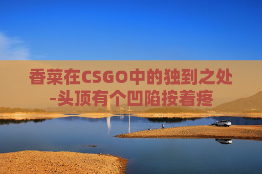香菜在CSGO中的独到之处-头顶有个凹陷按着疼