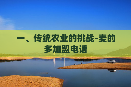 一、传统农业的挑战-麦的多加盟电话