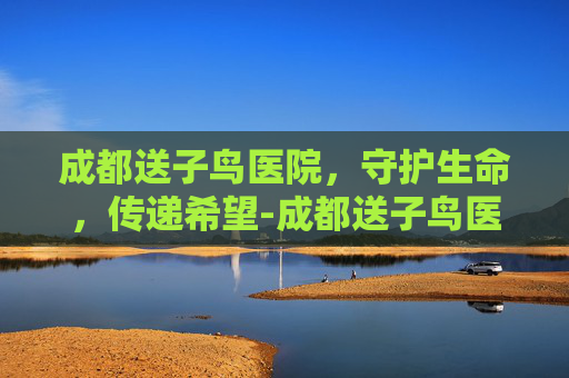 成都送子鸟医院，守护生命，传递希望-成都送子鸟医院是正规的吗