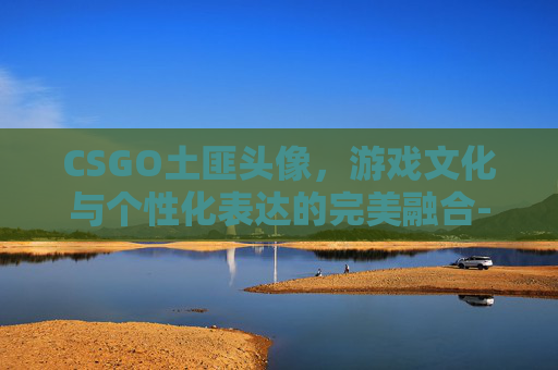 CSGO土匪头像，游戏文化与个性化表达的完美融合-cs土匪高清头像
