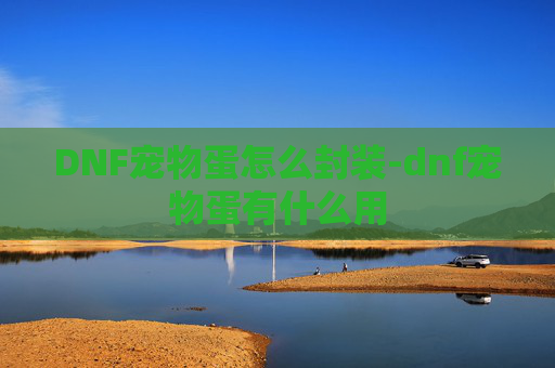 DNF宠物蛋怎么封装-dnf宠物蛋有什么用