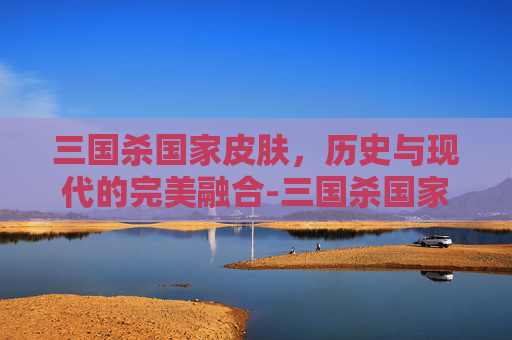 三国杀国家皮肤，历史与现代的完美融合-三国杀国家皮肤多少钱