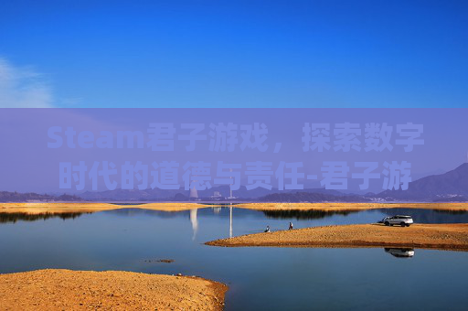 Steam君子游戏，探索数字时代的道德与责任-君子游戏什么意思