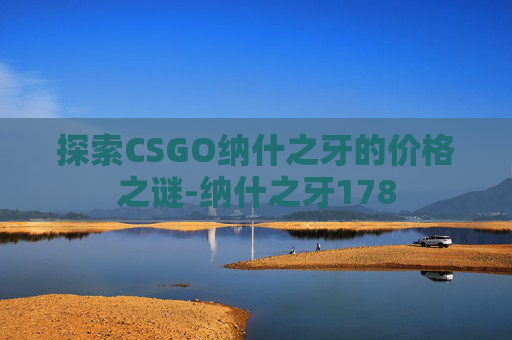 探索CSGO纳什之牙的价格之谜-纳什之牙178