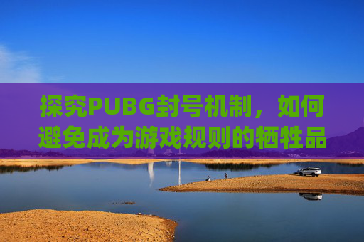 探究PUBG封号机制，如何避免成为游戏规则的牺牲品？-pubg怎么才会封机器