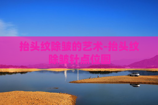 抬头纹除皱的艺术-抬头纹除皱针点位图