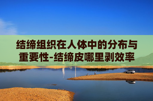 结缔组织在人体中的分布与重要性-结缔皮哪里剥效率最高