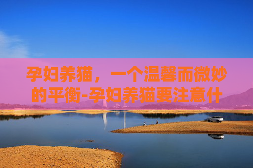孕妇养猫，一个温馨而微妙的平衡-孕妇养猫要注意什么