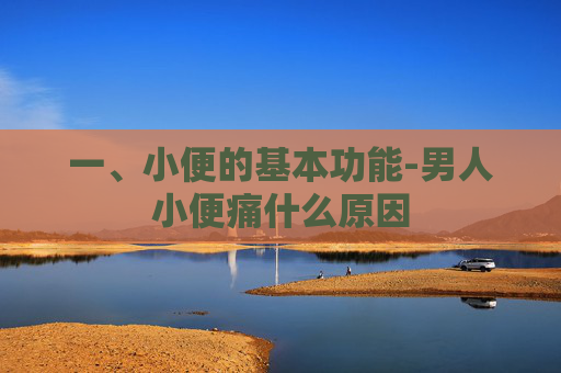 一、小便的基本功能-男人小便痛什么原因