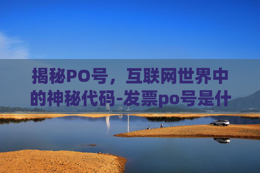 揭秘PO号，互联网世界中的神秘代码-发票po号是什么意思