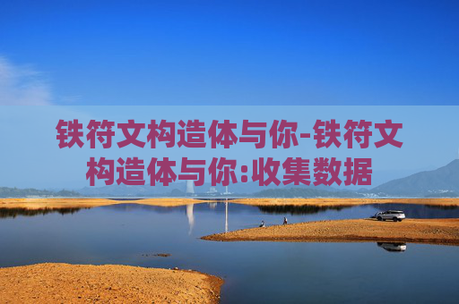 铁符文构造体与你-铁符文构造体与你:收集数据