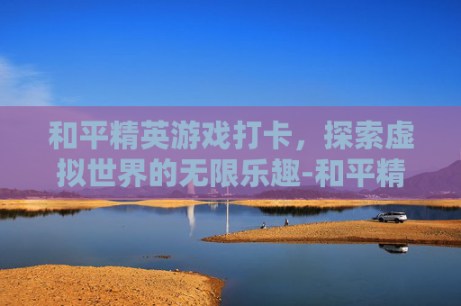和平精英游戏打卡，探索虚拟世界的无限乐趣-和平精英游戏打卡截图