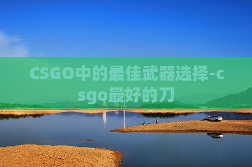 CSGO中的最佳武器选择-csgo最好的刀