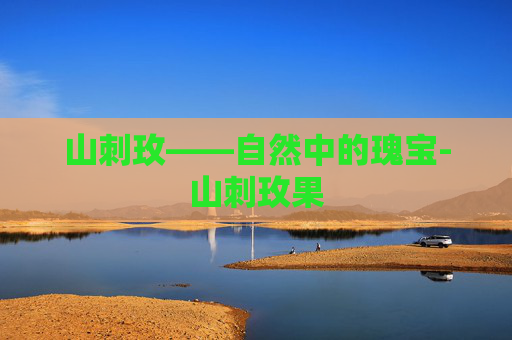 山刺玫——自然中的瑰宝-山刺玫果