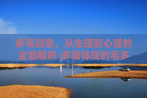 多毛现象，从生理到心理的全面解析-多囊体现的毛多主要症状